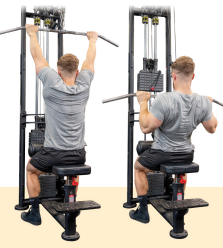 Lat Pulldown